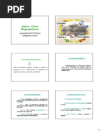 CICLO BIOGEOQUÍMICO - RESUMO