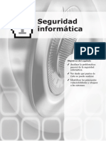 Seguridad Informatica PDF