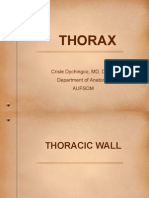 Anatomy of Thorax