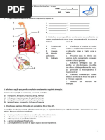 Exercícios de aplicação sistema respiratório (1).pdf