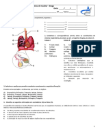 Exercícios de Aplicação Sistema Respiratório PDF