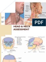 Head and Neck