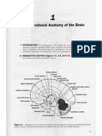 11neuroanatomy Hy PDF