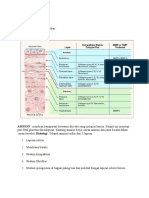 Anatomi Air Ketuban PDF