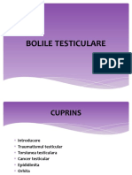 bolile testiculare.pptx