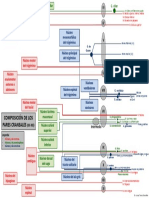 Composición de Los Pares Craneales