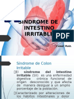 Síndrome del intestino irritable: causas, síntomas y tratamiento