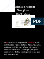 1. Anatomia Aplicada aos Acessos Cirurgicos 2019.pptx