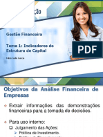 Gestão Financeira_Tema 1 Indicadores de Estrutura de Capital.pdf
