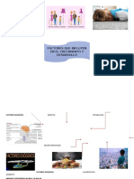 Mapa Mental Factores Que Influyen en El Crecimiento y Desarrollo Engelbert