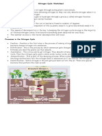 Nitrogen Cycle W Questions 2