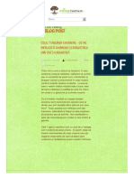 Cele 7 Oglinzi Eseniene PDF