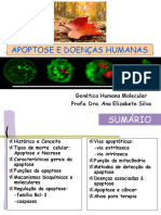 aula1-apoptose (1)