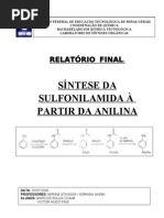 RELATORIO SINTESE ORGANICA