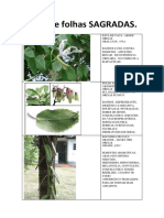 apostiladefolhassagradas-140414173421-phpapp02.pdf