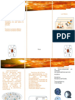 Trifoliar Física