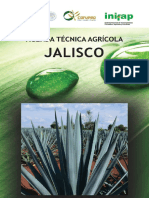 Agenda Técnica Jalisco 