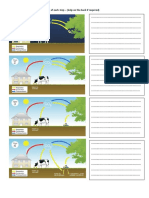 CARBON CYCLE Revision Worksheet