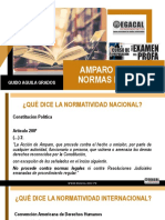 2 22-2-20 GAG Amparo Normas Legales PDF