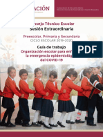 1._Guía_del_CTE_Extraordinaria_Marzo_2020[1].pdf