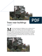 Trees Near Buildings