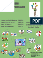 Mapa Mental-EF Consolidados y Separados PDF