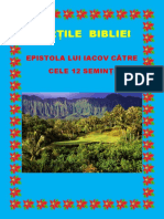 Cărți Din Biblie - Epistola Lui Iacov Către Cele 12 Seminții 59