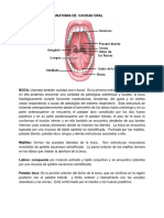 Modulo de Otorrinolaringologia-1