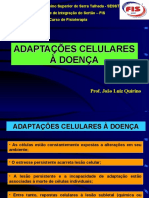 AULA 2 - Adaptacoes-Celulares-1