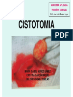 CISTOTOMIA.pdf