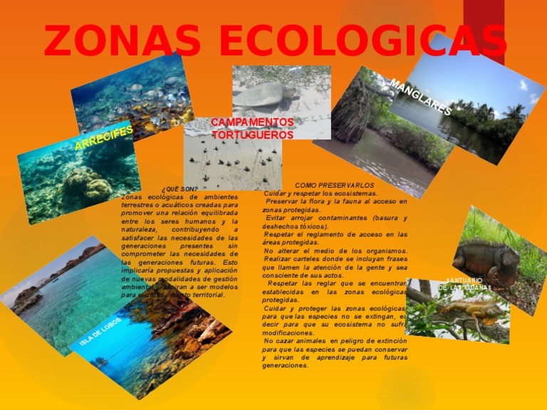 Zonas Ecologicas NUEVA | PDF | Salud y bienestar | Tecnología