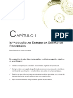 Fundamentos de Gestao de Proce