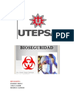 Bioseguridad Informe-1