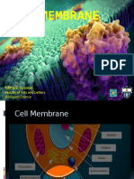 5.cell Membrane