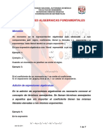 operaciones_algebraicas_fundamentales.pdf