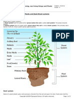 SM3.pdf