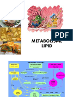 2_metabolisme-lipid-ringkas.ppt