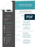 CV Diseñador Jorgetorres PDF