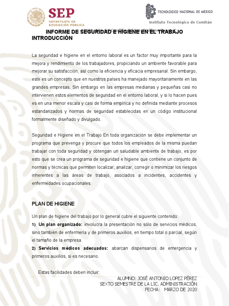 Informe Seguridad e Higiene | PDF | Seguro | Seguridad y salud ocupacional