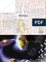 Enzimas