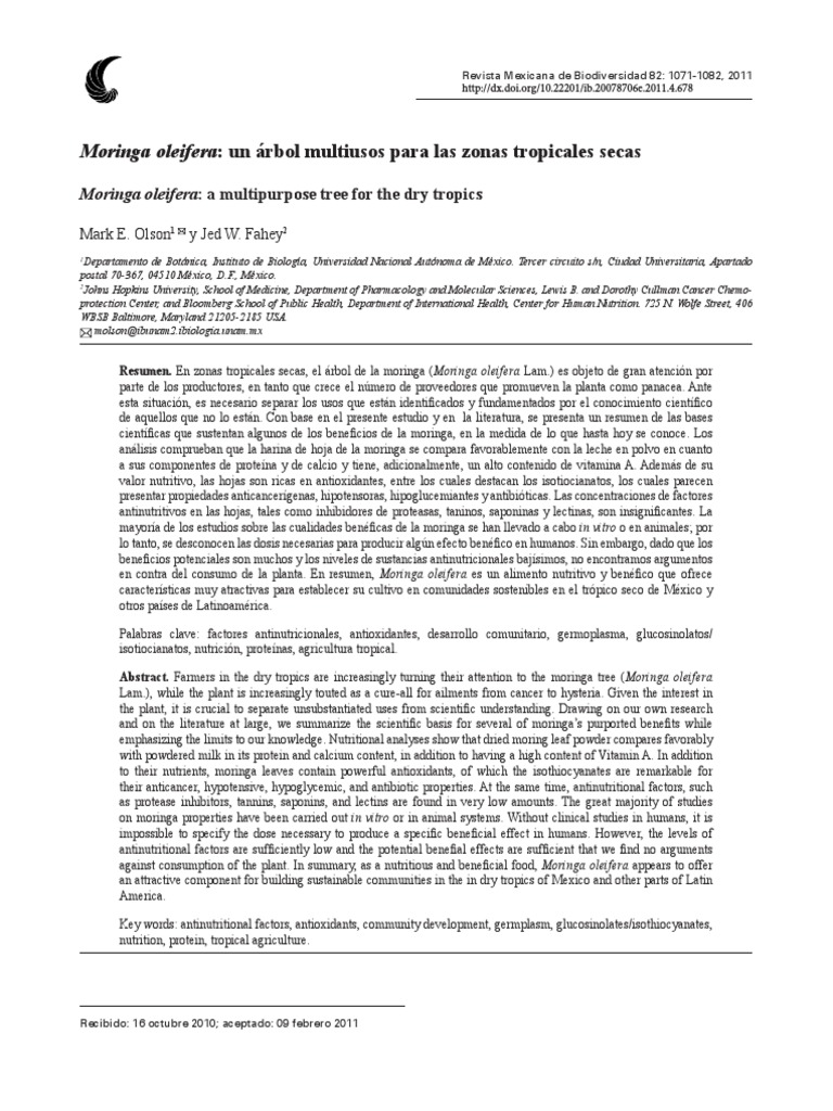 Las Propiedades de La Hoja de Coca PDF PDF Cáncer Vitamina