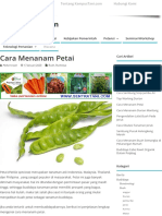 Budidaya Petai PDF
