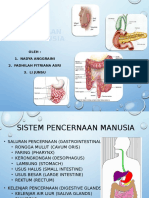 Sistem Pencernaan Pada Manusia