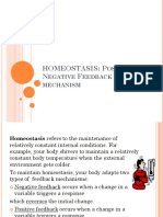 Homeostasis 560162 7 PDF