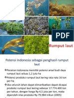 Rumput Laut