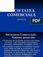 C_3_ Societatea comercială.ppt