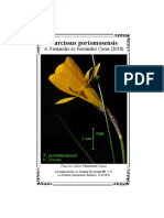 Narcissus Portomosensis A. Fernandes Ex Fernández Casas (2018)