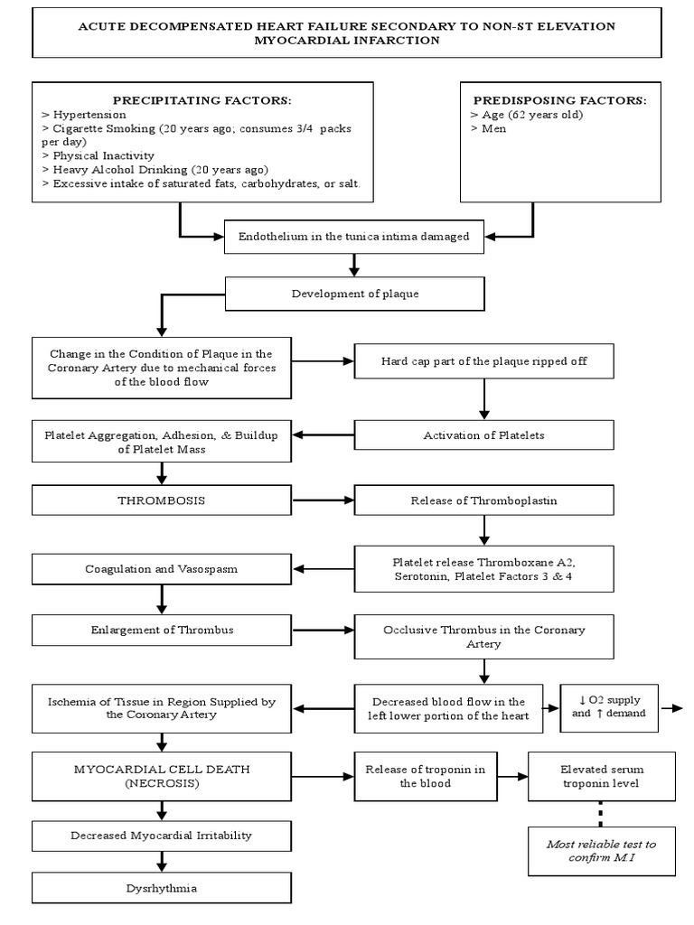 Myocardial Infarction Pathophysiology Diagram | PDF | Myocardial ...