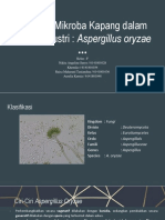 Presentasi Mikro PDF