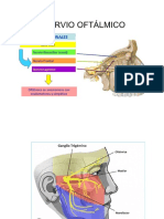 Imagenes Nervios y Musculos